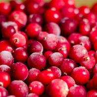 Cranberry Foto