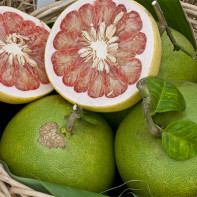 Foto de fruta de pomelo 2