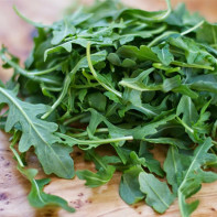 Arugula foto 3