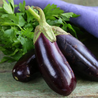 Foto aubergine 4