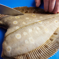 Flounder larawan 4