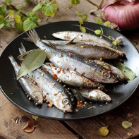 Sprat fotó