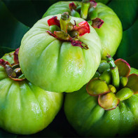 Garcinia Fruit Fotoğraf