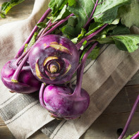 Fotografija kohlrabi kupusa 5