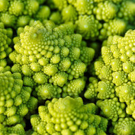 Photo cabbage romanesco