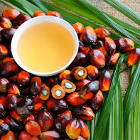 Photo palm oil 2