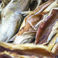 Photo of dried and dried fish 2