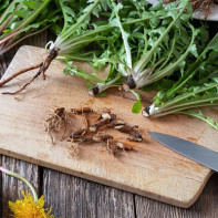 Photo of dandelion root