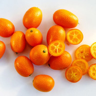 Kumquat Foto 5