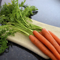 Photo carrot tops 5