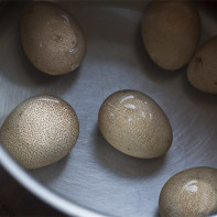 Photo d'oeufs de pintade 2