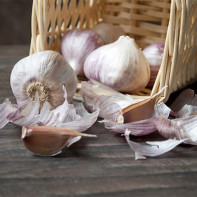 Fotoğraf garlic 2