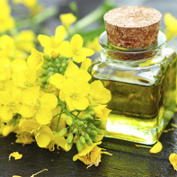 Foto minyak rapeseed