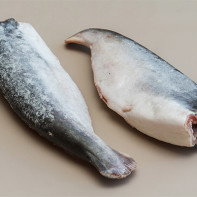 Pangasius photo 4