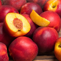 Photo de Nectarines