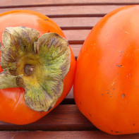 Persimmon photo 3