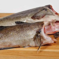 Photo of cod