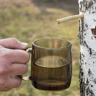 Foto av björksaft 4