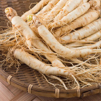 Photo Ginseng 5