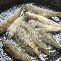 Foto de um peixe góbio 2