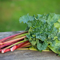 Larawan ng rhubarb 3