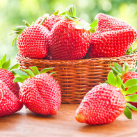 Fraises photo 4