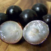 Photo Jaboticaba 3