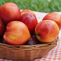 Photo Nectarines 5