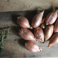 Larawan ng shallots 4