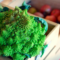 Foto kupus romanesco 5