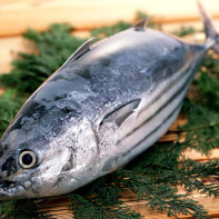 Photo of tuna