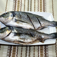 Larawan ng dorado fish 2