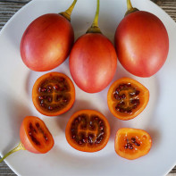 Φωτογραφία Tamarillo 2