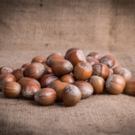 Fotoğraf hazelnut 5