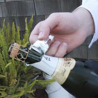 Foto Champagner 6