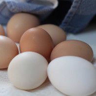 Bilde av Chicken Eggs 4