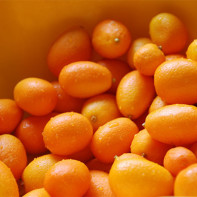 Kumquat 3 nuotrauka