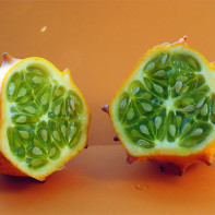 Foto Kiwano 3