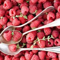 Foto Himbeeren 4