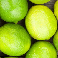 Lime photo 5