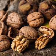 Photo of walnuts 3