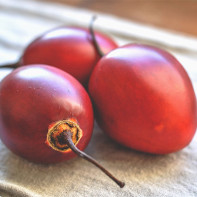 Fotó Tamarillo 4