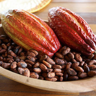 Foto af Cocoa Beans 4