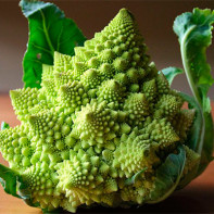 Foto kål romanesco 4