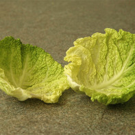 Photo cabbage leaf 3