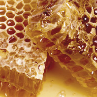 Photo honey cell 3