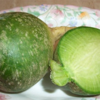 Foto de rabanete verde 4