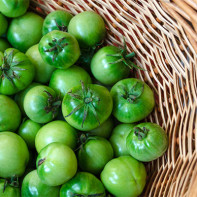 Foto von grünen Tomaten 4