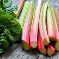 Photo of rhubarb 4