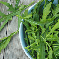 Ảnh Arugula 2